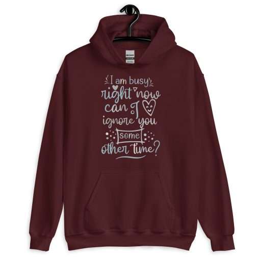 Can I Ignore You Some Other Time Sassy Stylish Hoodie - Image 3