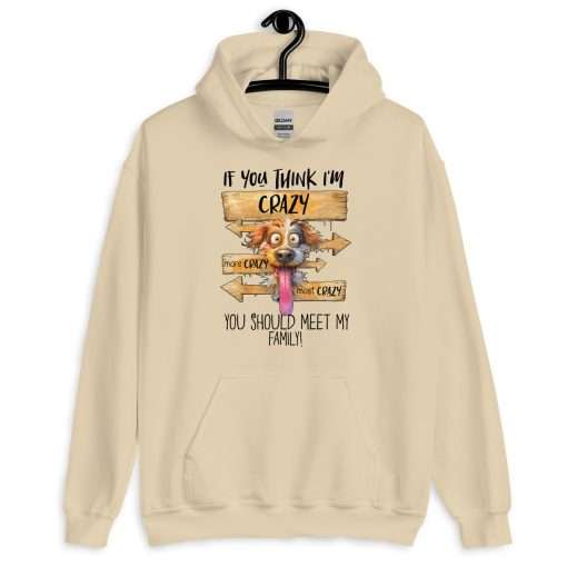 If You Think I'm Crazy You Should Meet My Family Hoodie - Image 8