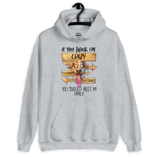 If You Think I'm Crazy You Should Meet My Family Hoodie - Image 6