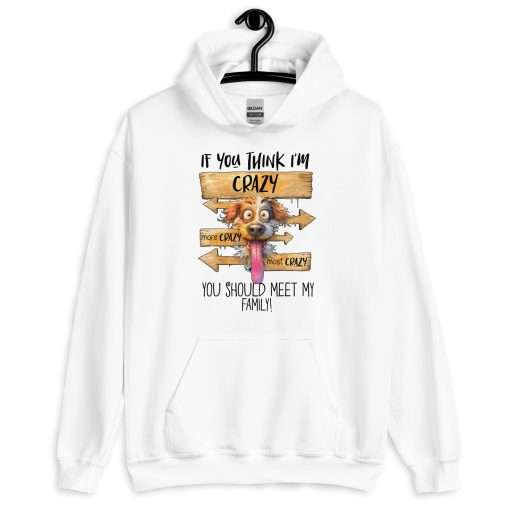 If You Think I'm Crazy You Should Meet My Family Hoodie